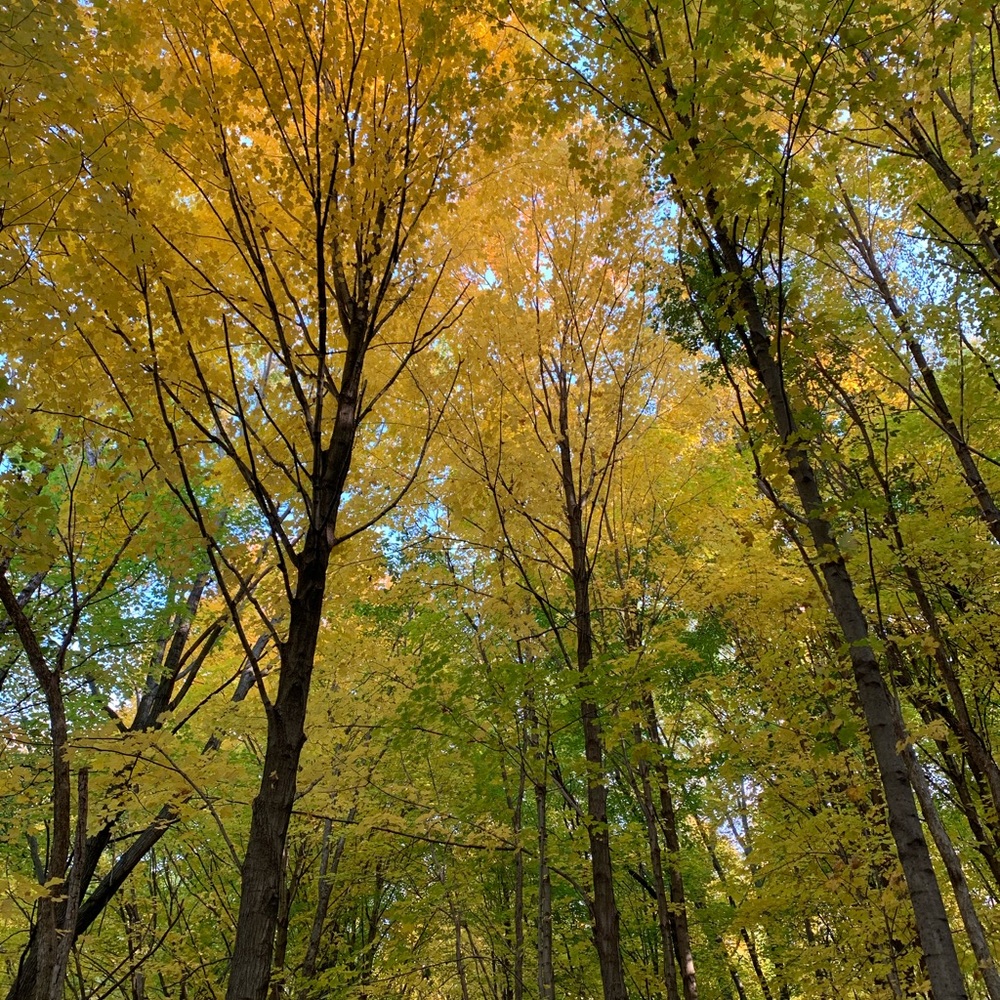 Meet your Posher, Joanna